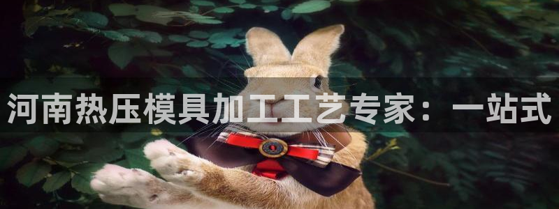 易倍申上市时间：河南热压模具加工工艺专家：一站式