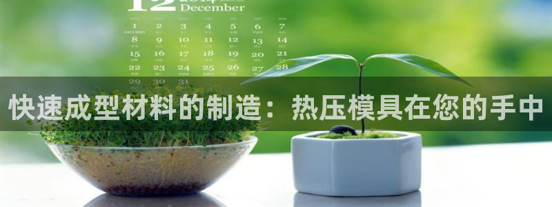 易倍申多少钱：快速成型材料的制造：热压模具在您的手中