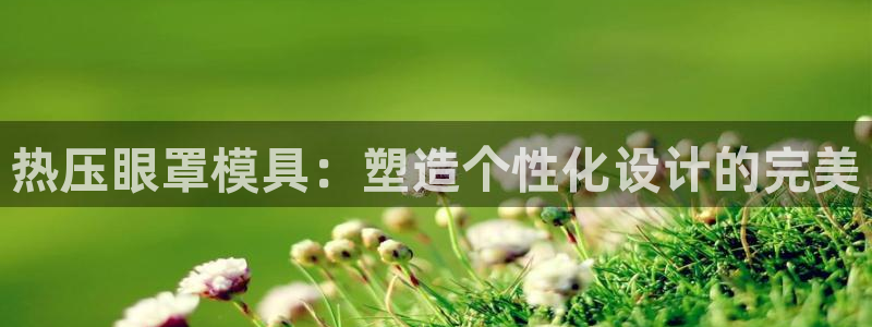 EMC易倍让身份验证：热压眼罩模具：塑造个性化设计的完美