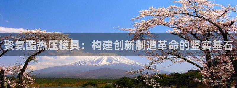 易倍科华生物科技有限公司：聚氨酯热压模具：构建创新制造革