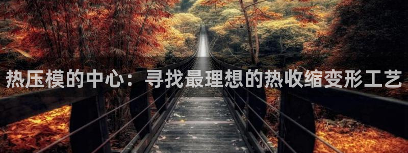 emc易倍官网app下载：热压模的中心：寻找最理想的热收