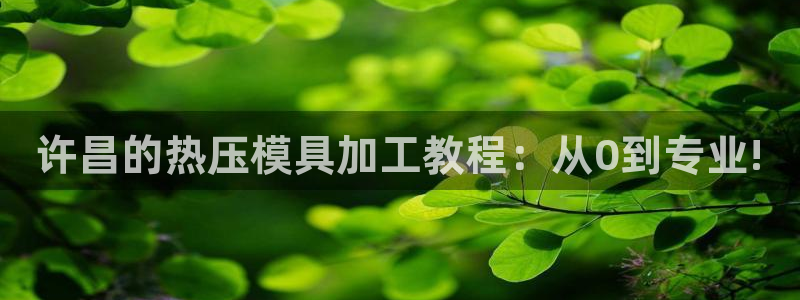 emc频率：许昌的热压模具加工教程：从0到专业!