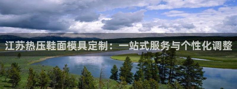 易倍申每盒价格是多少?：江苏热压鞋面模具定制：一站式服务