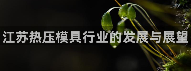 emc参数：江苏热压模具行业的发展与展望