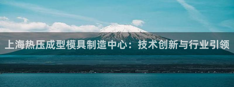 易倍申价格：上海热压成型模具制造中心：技术创新与行业引领
