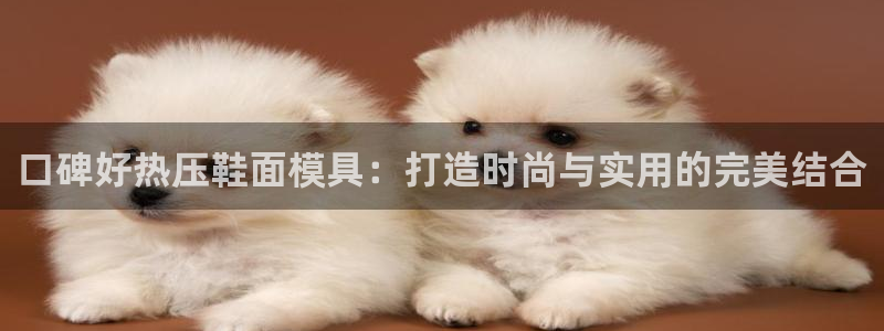 易倍申服用方法：口碑好热压鞋面模具：打造时尚与实用的完美