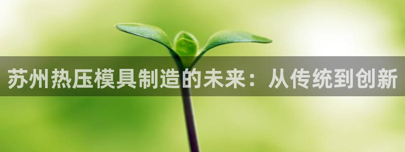 emc易倍官网app下载：苏州热压模具制造的未来：从传统