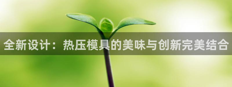 emc易倍最新链接：全新设计：热压模具的美味与创新完美结