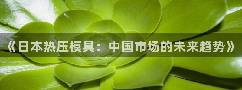易倍康简历：《日本热压模具：中国市场的未来趋势》