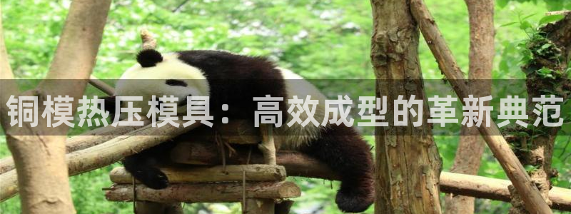 易倍申片的功效与作用：铜模热压模具：高效成型的革新典范
